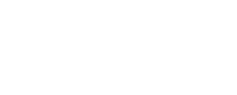 ION_WHITE-768x309