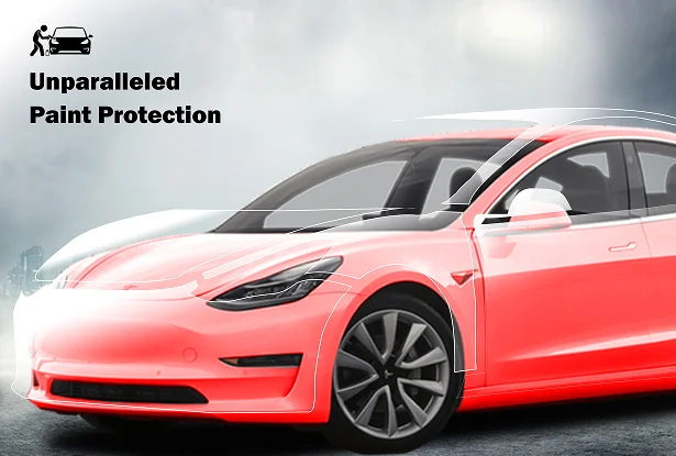 Unparalleled-Paint-Protection
